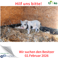 thumb_Fundtiere FB(80)